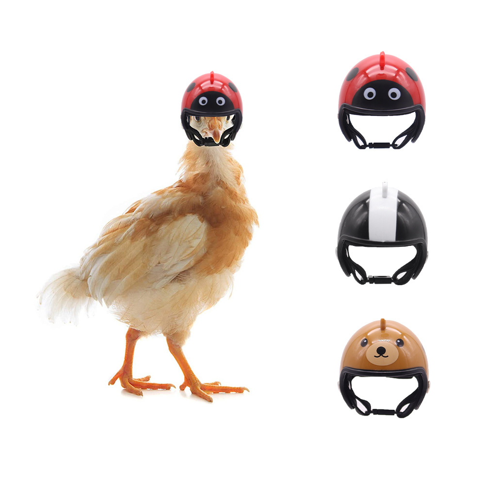 Casco de pollo para mascotas transfronterizo, mini sombrero de vestir de pollo, gallina divertida, sombrero de pájaro loro, sombrero para mascotas que no se cae