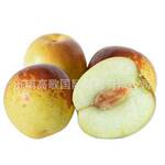 新鲜现摘脆甜大荔冬枣  欢迎大量订购  价格美丽