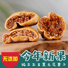 ���l�������M�ڟo�����ɟo��Ѭ���|�����ЋD���rˮ������ʳ�خa