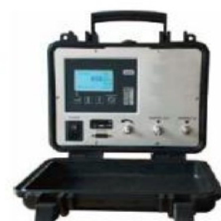 便携式氢气纯度分析仪 型号HAD-ASHB