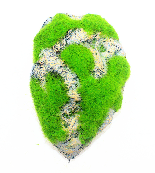 No. L Nuevo con Moss