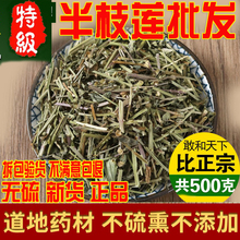 野生半枝莲半枝连当季新货干中药材精选500g另售白花蛇舌草铁树叶