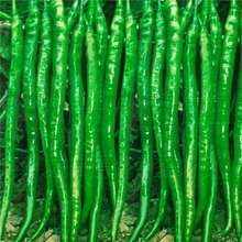 ���L���������N�Ӹ߮a�������������ļ���@�߲��͟Ἒ�L�����N��