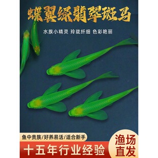 �����G�����R�~�^�p�~�Ꭷ��ˮ�~�û��B�~���ͻ�С�ͻ��w�߲��~