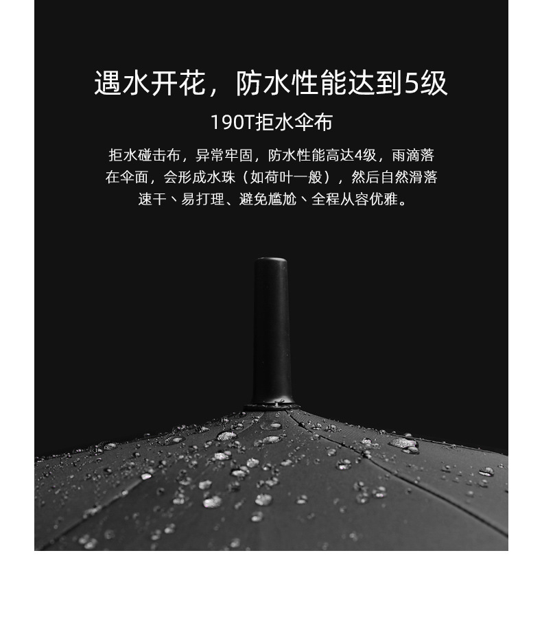 未标题-1_10.jpg