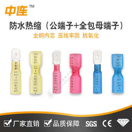 中连 防水热缩端子公端头全包母簧插片1-250/2-250/5-250对插接线