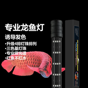 Specially designed for fish tank ornamental design dragon fish special LED lighting trichromatic waterproof brightening red diving lamp