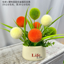 ���汱�Wins����[�����տ����ϻ��ҕ�������ٻ������b��滨