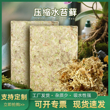 SlƉsˮ̦Ҏ_lƱ\̦@ˇNֲ|ˮ̦