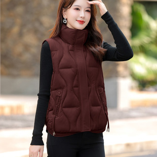 2025 New Autumn and Winter Vests for Women, Casual Loose Stand-Up Collar Thickeneded down Cotton Vests, Cotton Vests, Outer Vests