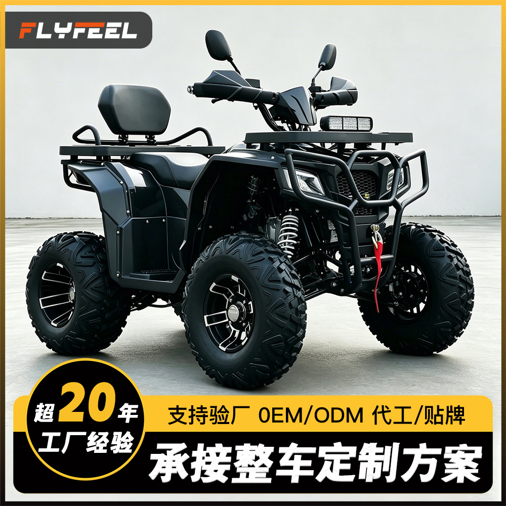 Cuatrimoto ATV Todo Terreno 200cc de Hierro y Plástico con Transmisión Automática para Montaña image 3