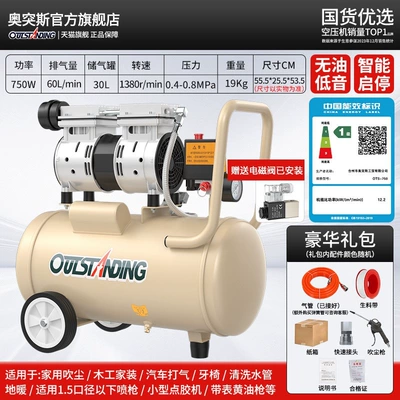 Air Compressor — pump for woodworking - energy-efficiency-220v100-models-available-level-4-quieter-operation-30l-750w-with-solenoid-valve-standard-configuration-level-1-energy-efficiency-double-cylinder