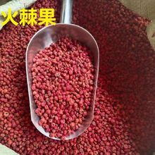 火棘果 中药材新货火棘子火把果救兵粮救军粮赤阳子 支持药检
