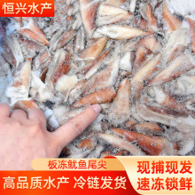 冷冻鱿鱼尾尖鱿鱼耳鱿鱼尾片 鱿鱼翅火锅烧烤食材量大询价批发