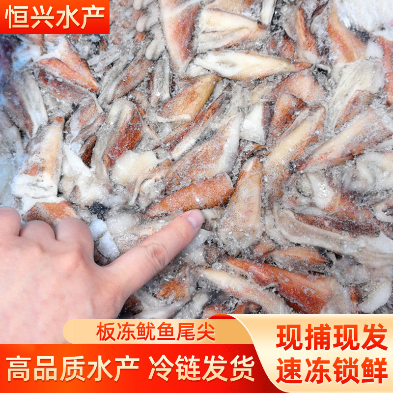 冷冻鱿鱼尾尖鱿鱼耳鱿鱼尾片 鱿鱼翅火锅烧烤食材量大询价批发