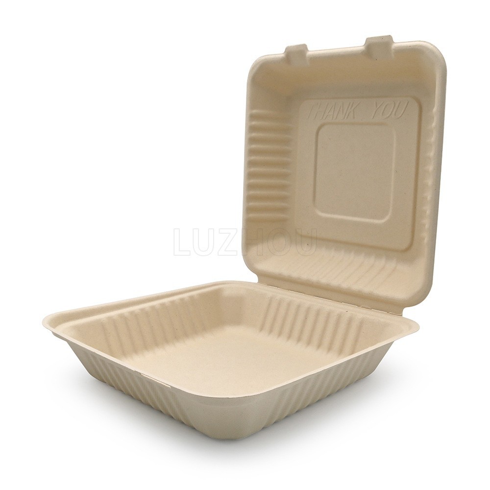 9 pulgadas de pulpa de bambú compostable biodegradable sin caja de comidas de grado alimenticio caja de bloqueo ecológica cubierta desechable