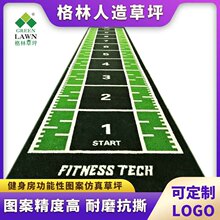 �������w�m�������ƺѩ���̶�ِ���D��˽�̹��܅^��̺gym grass