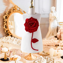 Rd羳ͯb2025ļ¿ŮͯwDŮͯɌȹ