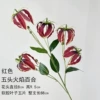 Five-Headed Flame Lily-Red