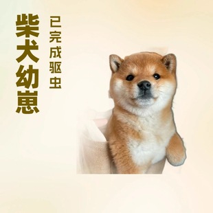 ���l���N�ձ���Ȯ��HȮ��Ȯ���w����������ȮС���o�lȮ���ﹷ