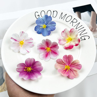 ���滨�zƬС���Ļ��^ diy�����ñ���ϰ�����ٻ��Ҿӻ�ˇС�[��