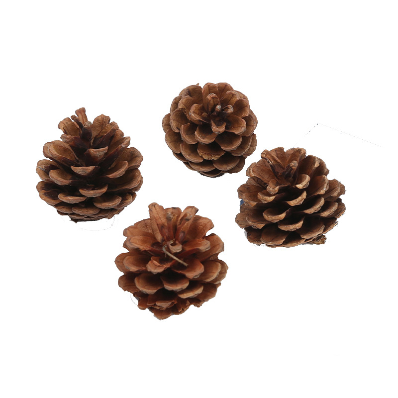 Flor de pino natural flores perpetuas de algodón flores secas árbol de navidad decoración accesorios ramo de navidad hechos a mano DIY material paquete