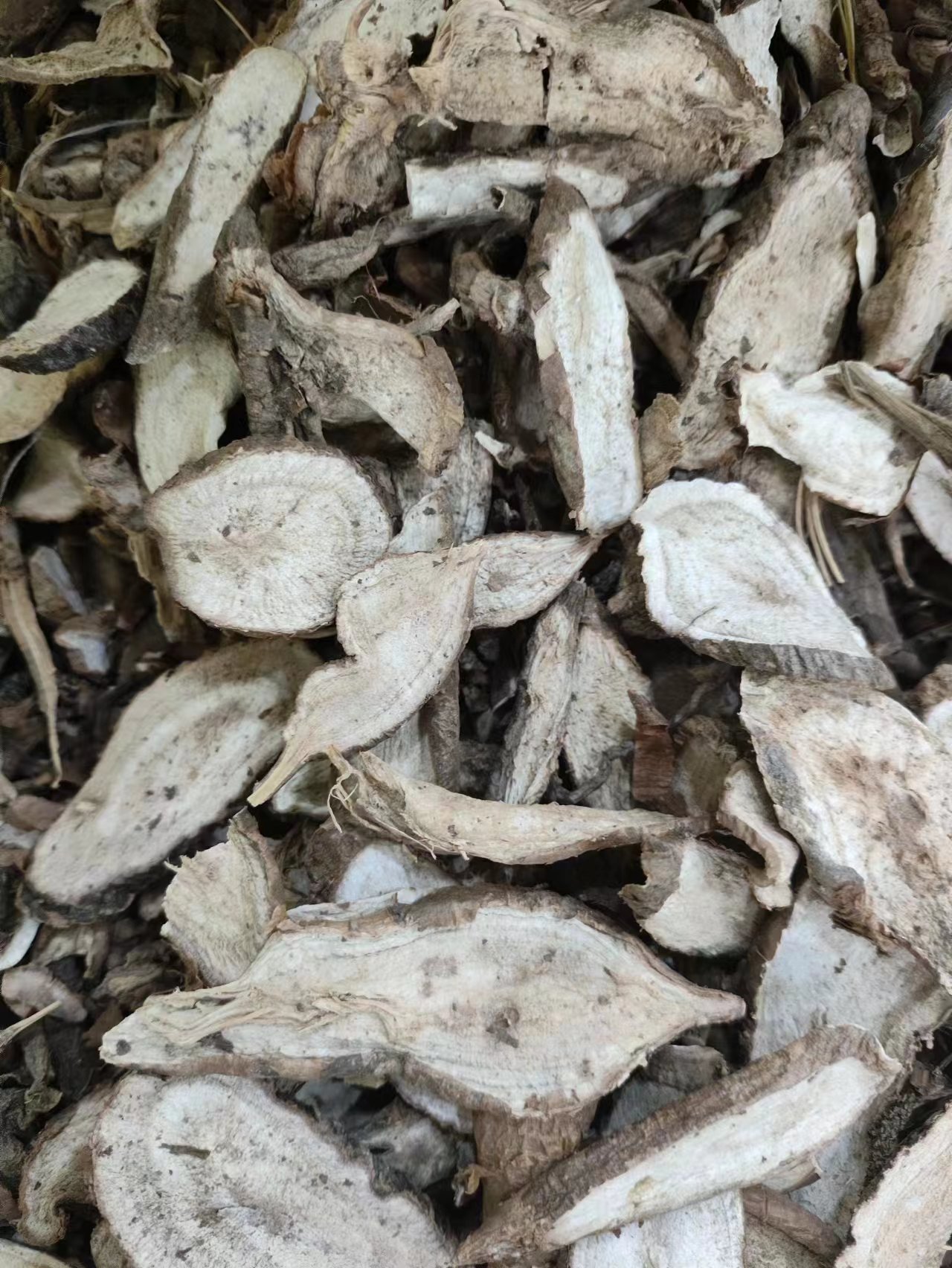 Bai Lian Root (Ampelopsis japonica) — Dried Chinese Herb, Sliced or Powdered quality and texture