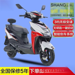 New still collar electric motorcycle battery car pedal long distance running king adult electric car takeaway student car