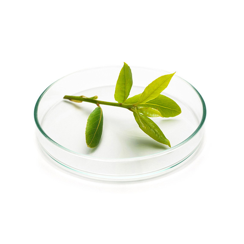 玻璃培养皿 化学实验室加厚高硼硅耐高温60/75/90/100/120mm平皿