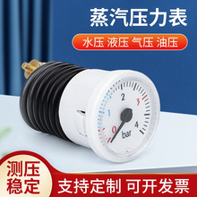37mm带毛细管压力表 0-4bar壁挂炉蒸汽真空压力表BT40001