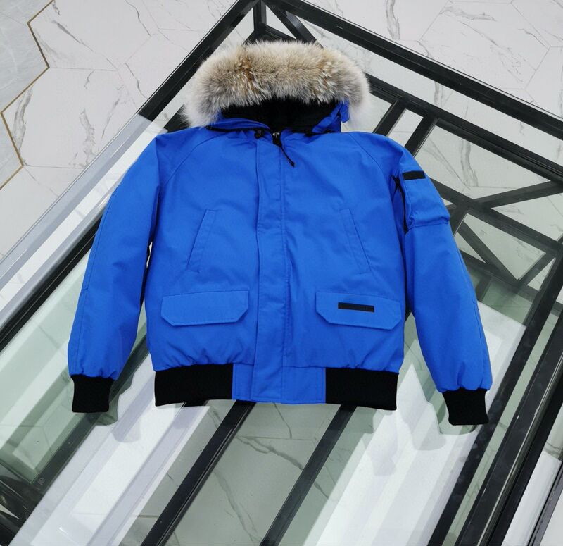 跨境25fw高版本美潮秋冬新款手臂徽章飞行员夹克羽绒服连帽暖外套|undefined