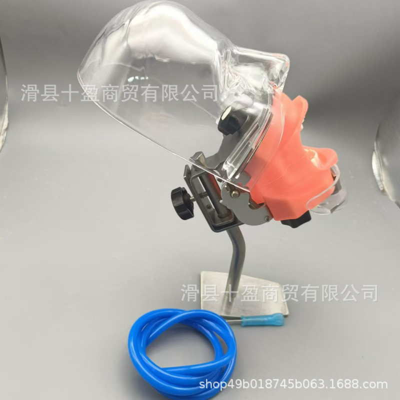 口腔シミュレーション練習頭型歯模型口腔歯科教育材料器械型歯模型練習型