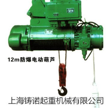 专业供应  防爆钢丝绳电动葫芦  环链电动葫芦