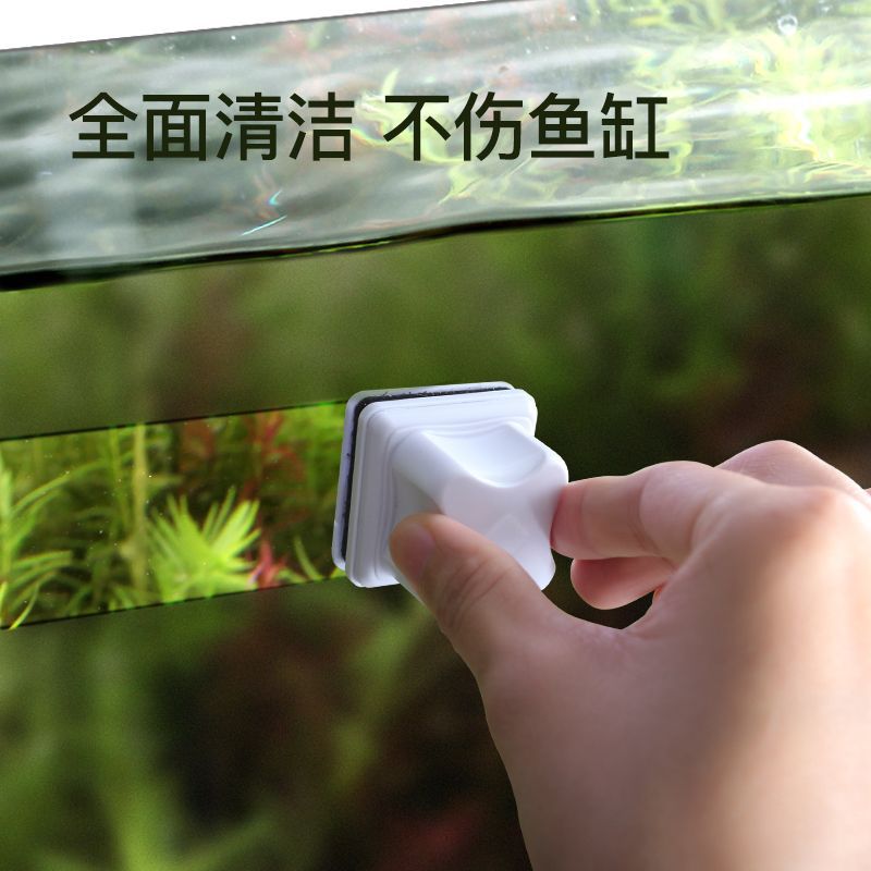 Small magnetic square aquarium
