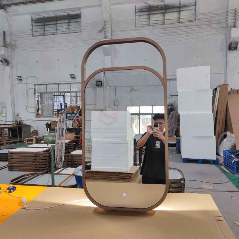 Suspended Mirror Stainless Steel Frame Special-Shaped Back-Lit Bathroom Hotel High-Definition Ultra-White Copper-Free Silver Mirror Cosmetic Mirror