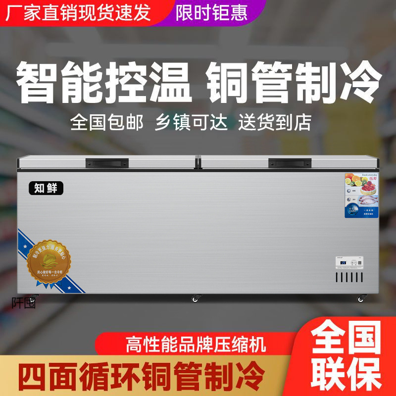 Freezer Commercial Large-Capacity Refrigeration and Freezing Horizontal Single-Temperature Dual-Temperature Energy-Saving Copper Tube Freezer Quick Freezing
