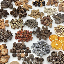 ľƬֲ̫˱ɹdiyɻϰֹ