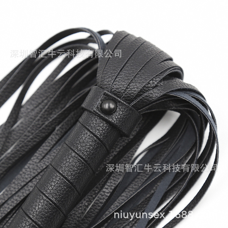 8123203610_340828440