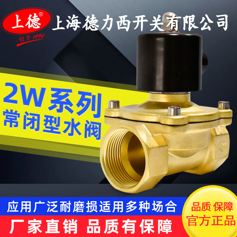 上海德力西开关常开常闭电磁阀220V24V黄铜水阀DN152W-160-15