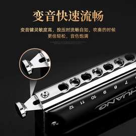 敦煌Ｙ1248　12孔半音阶　口琴　初学　成人专业　跨境电商礼品