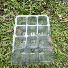 6格12格环保材料透明育苗盒种植移栽园艺种植盆养护穴盆厂家