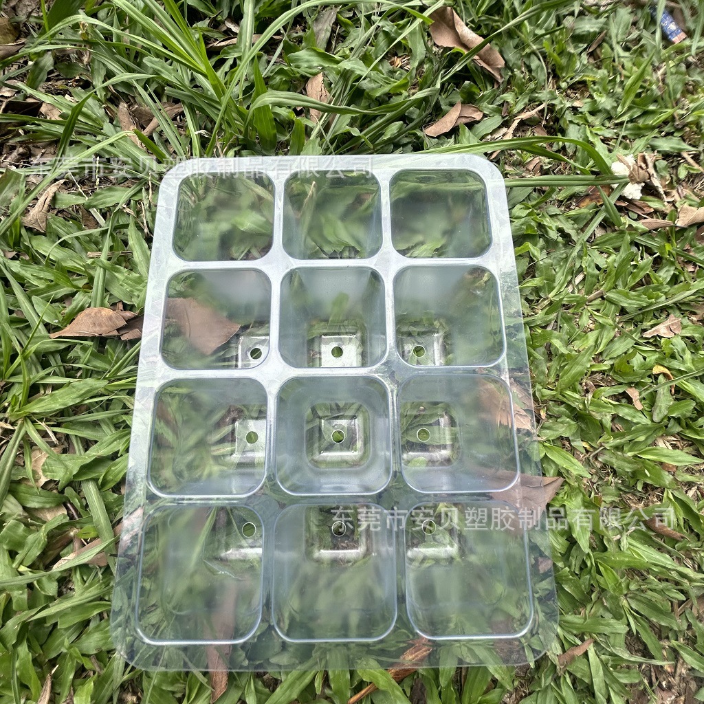6格12格环保材料透明育苗盒种植移栽园艺种植盆养护穴盆厂家