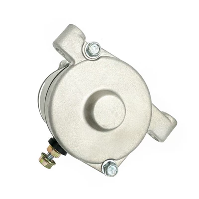 Grizzly 400, Starter and accessories
