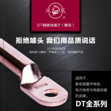 �P���~����DT-10 16 25 35 50 70 95 120 150���˶���ʽ��|���^