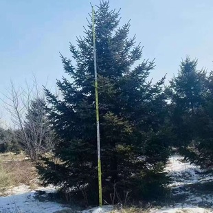 �ɼ ��ɼ �t��ɼ �{ɼ �|���ͺ��L������  Ҏ���Rȫ Ʒ�|��