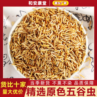 ��ș����������x�S��o���x����ω��ˮ��������x����؛�Bʳ���