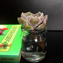 ֲˮ¶ˮײͽMˮBֲ҃ȶֲGֲ