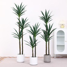 ����٘�ֲ��͏d������ؔ[���҃��쾰�b��m����Gֲ�߷���