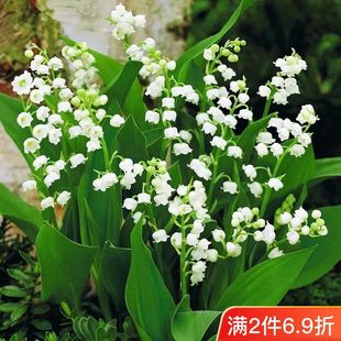 һ�����l��m�����绨�����������ļ��_���҃����̨�k��������