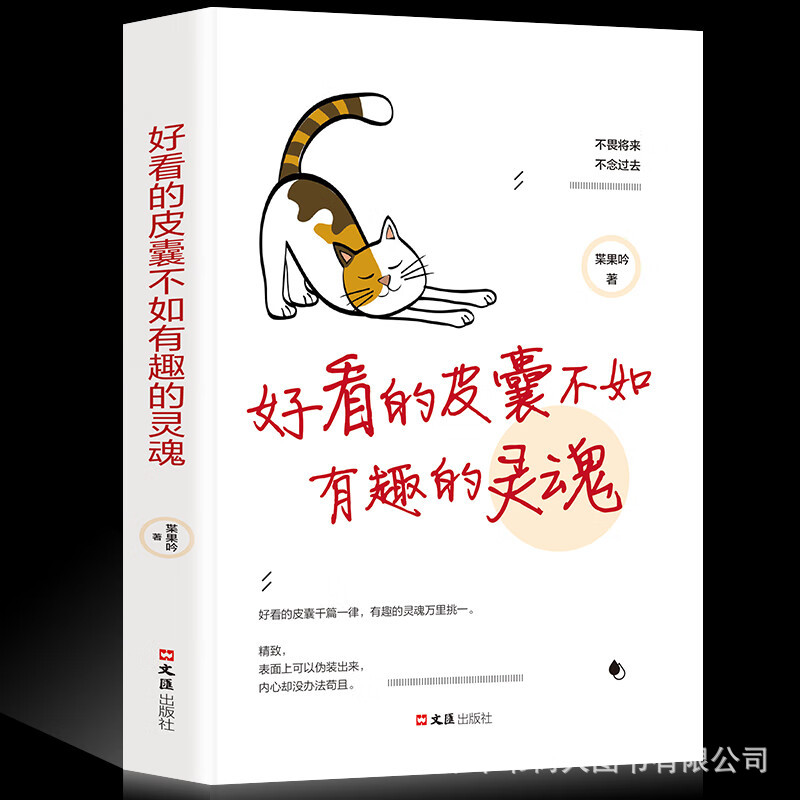 好看的皮囊不如有趣的灵魂平装成功励志正能量书不畏将来不念过去